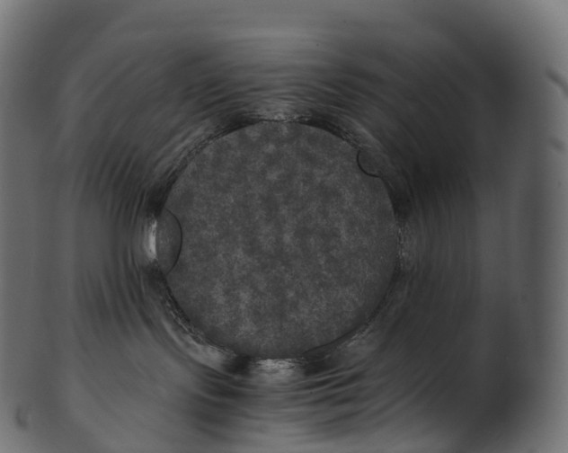 X0000100490095200807031927