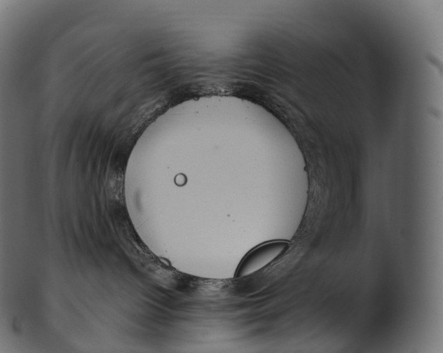 X0000100490096200807031927