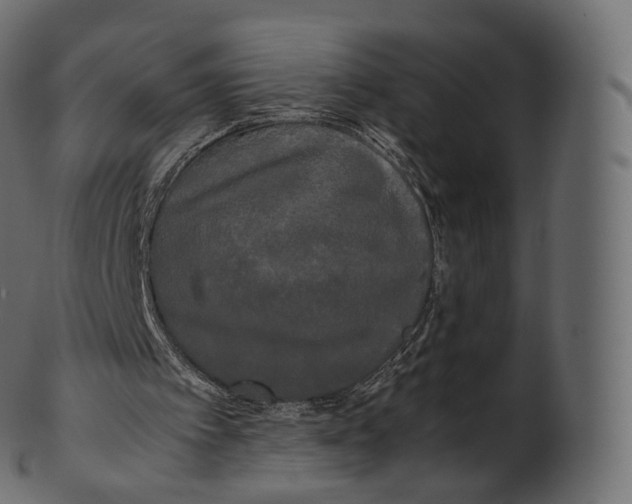 X0000100490097200807031926