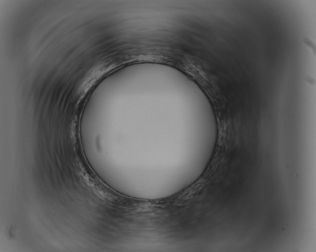 X0000100490098200807031926