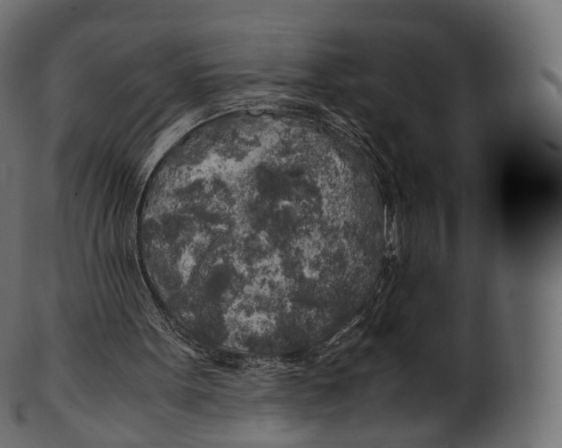 X0000100490099200807031926