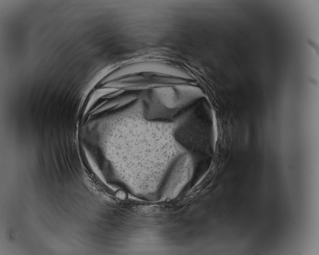 X0000100490100200807031926