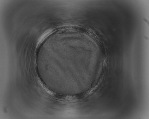 X0000100490101200807031926