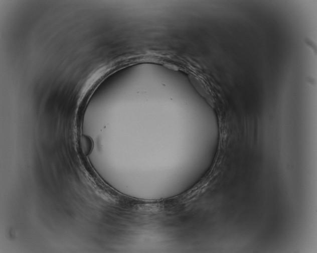 X0000100490102200807031926