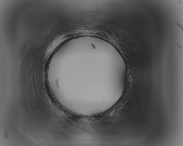 X0000100490103200807031926