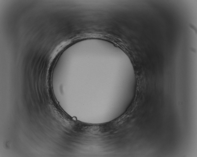 X0000100490104200807031926