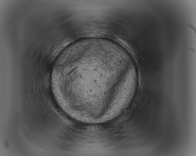 X0000100490105200807031926