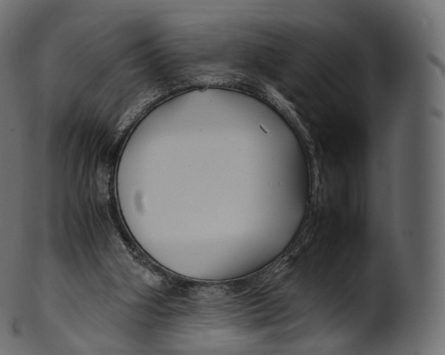 X0000100490106200807031926