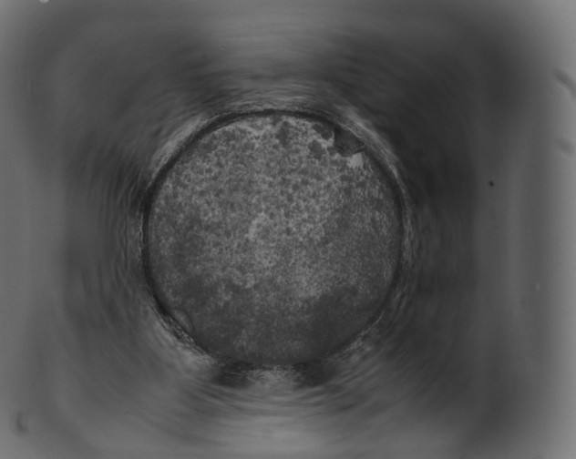 X0000100490107200807031926