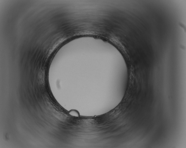 X0000100490108200807031926