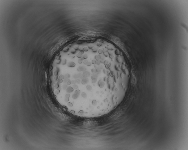 X0000100490109200807031926