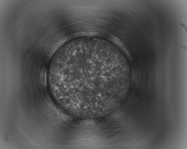 X0000100490110200807031926