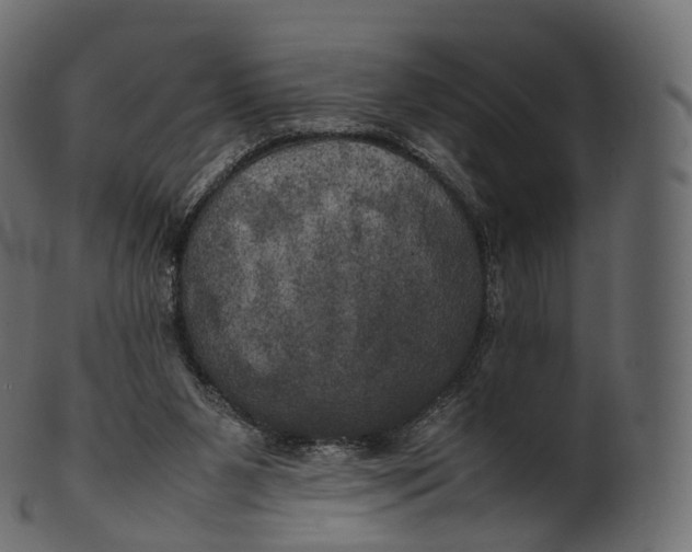 X0000100490111200807031926