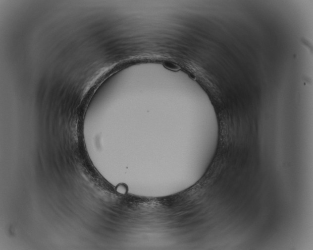 X0000100490112200807031926