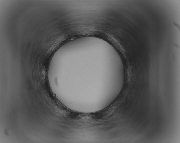 X0000100490113200807031926