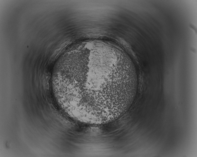 X0000100490114200807031925