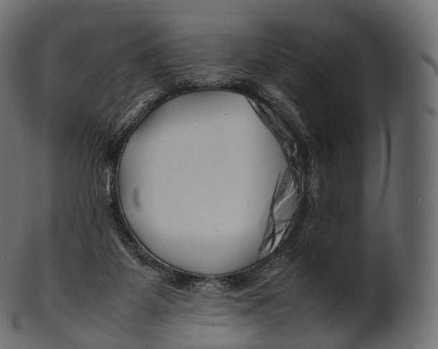 X0000100490115200807031925