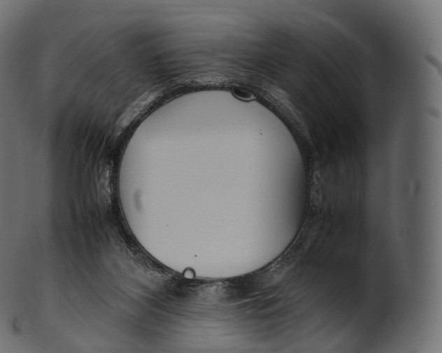 X0000100490116200807031925