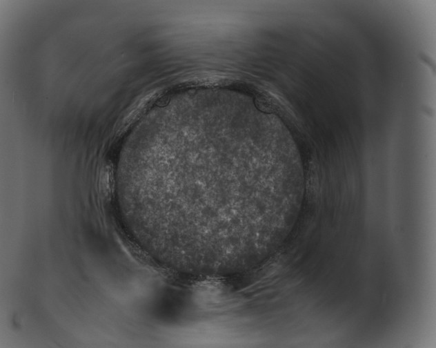 X0000100490119200807031925