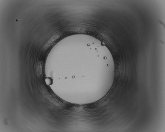 X0000100490120200807031925