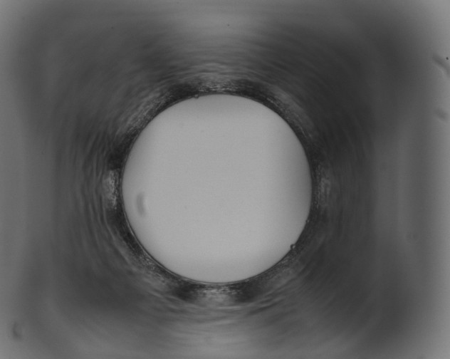 X0000100490121200807031925