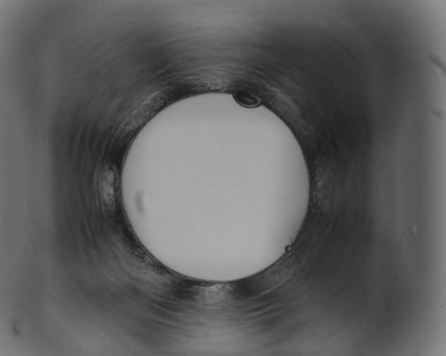 X0000100490122200807031925