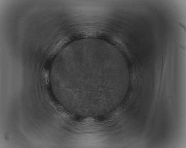 X0000100490123200807031925