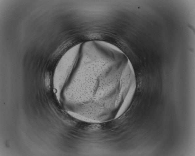 X0000100490124200807031925