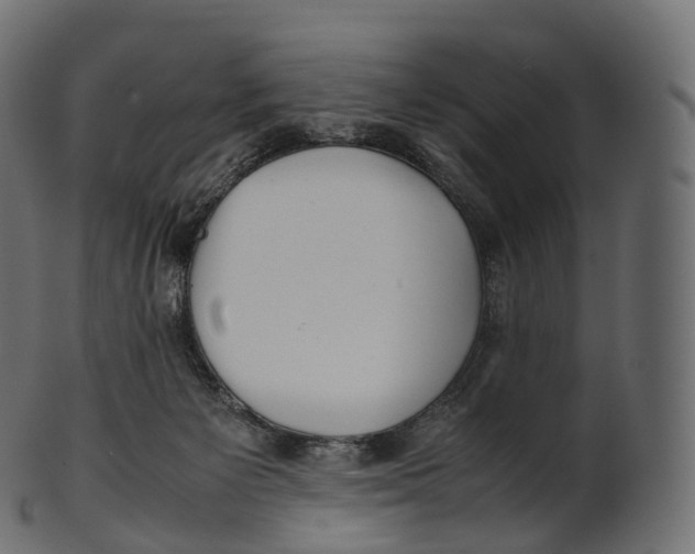 X0000100490125200807031925