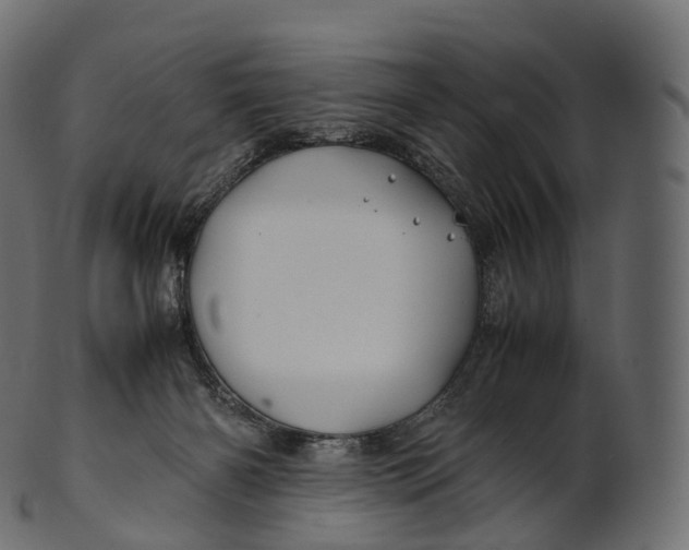 X0000100490126200807031925