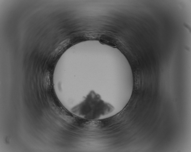 X0000100490128200807031925