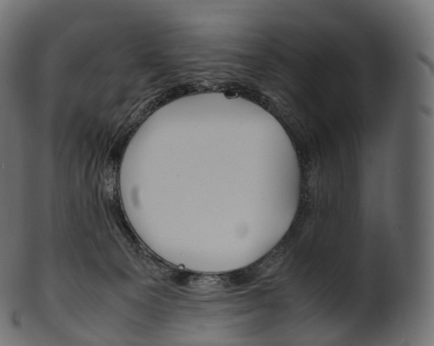 X0000100490129200807031925