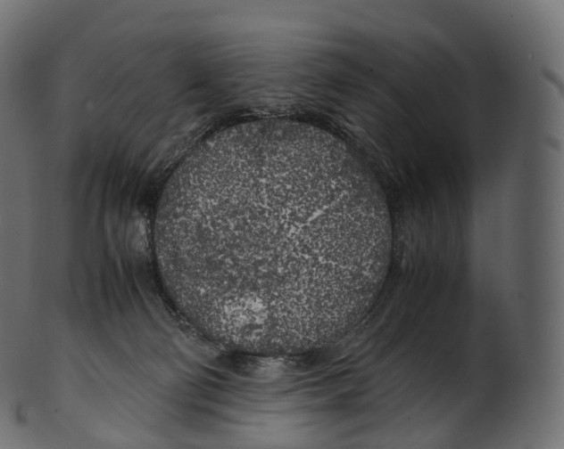 X0000100490130200807031925