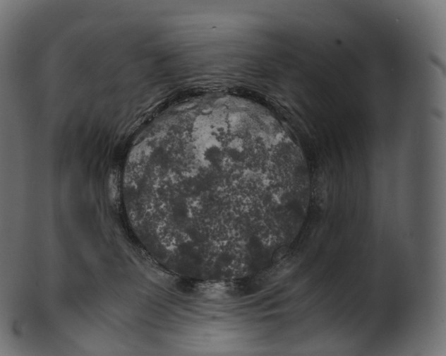 X0000100490131200807031925