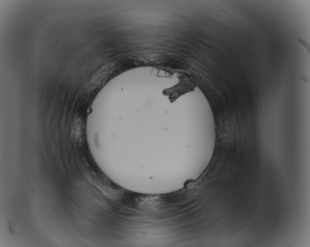 X0000100490132200807031925