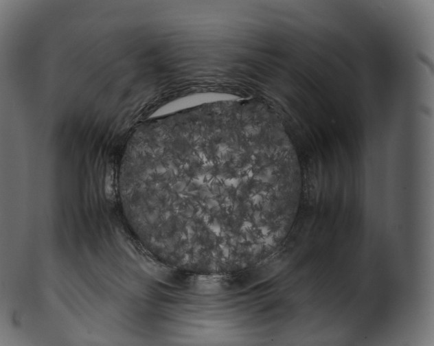 X0000100490134200807031925