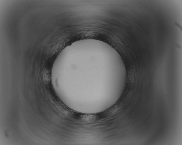 X0000100490135200807031925