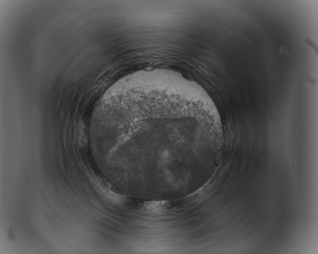 X0000100490136200807031925