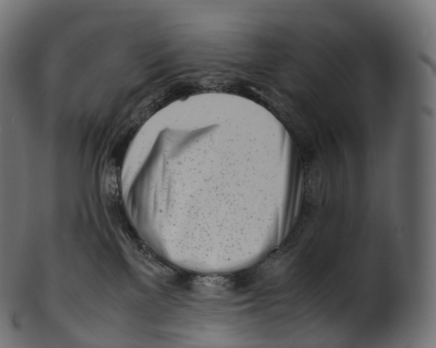 X0000100490137200807031925