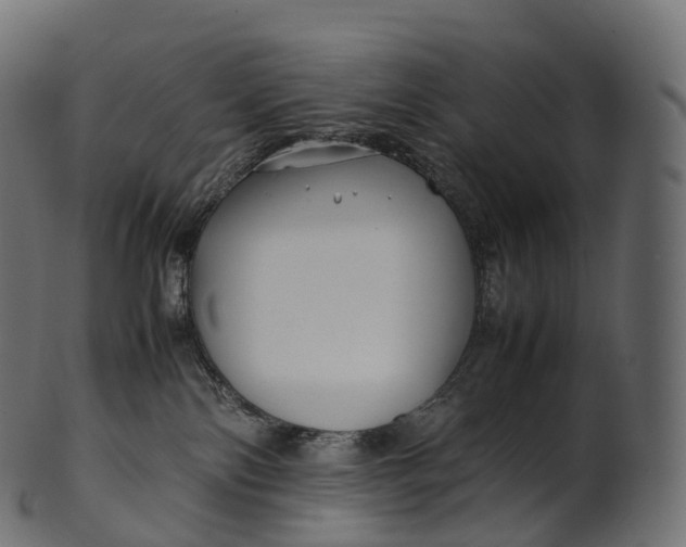 X0000100490138200807031925