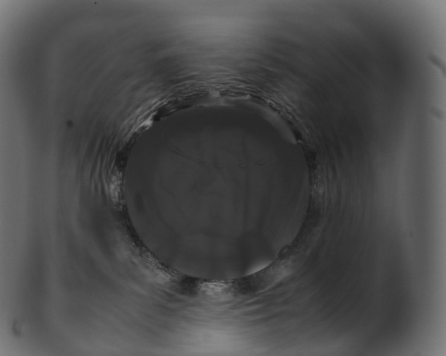 X0000100490139200807031925