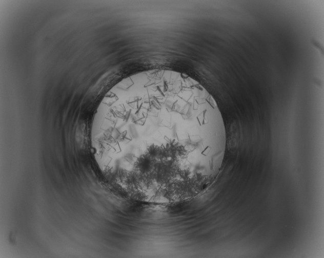 X0000100490140200807031925