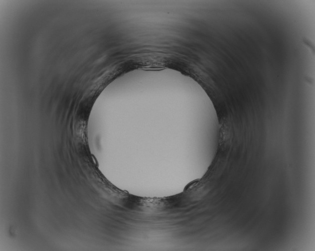 X0000100490141200807031925