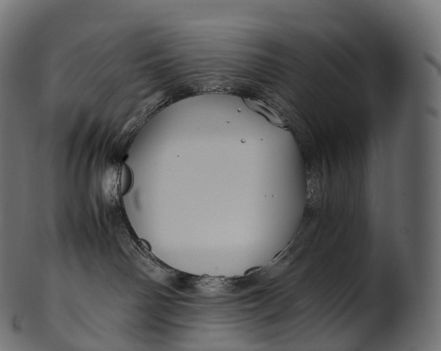 X0000100490142200807031925