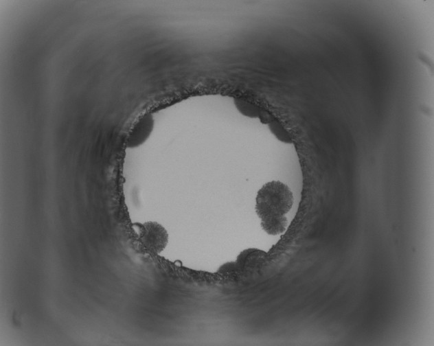 X0000100490144200807031925