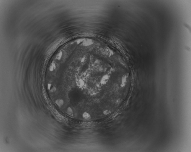 X0000100490145200807031924