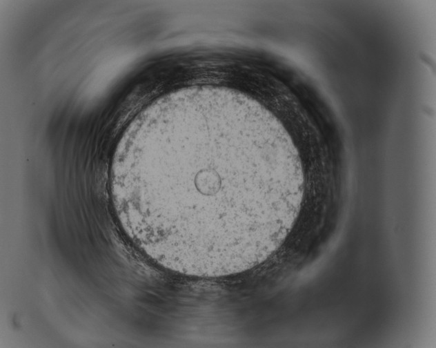 X0000100490146200807031924