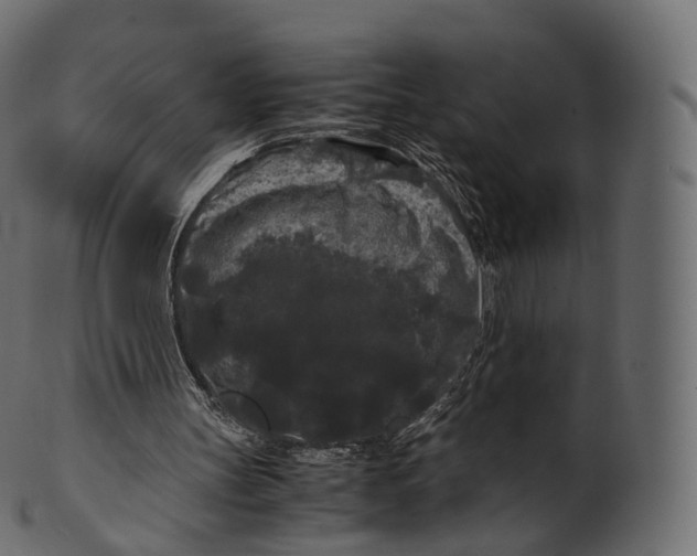 X0000100490147200807031924