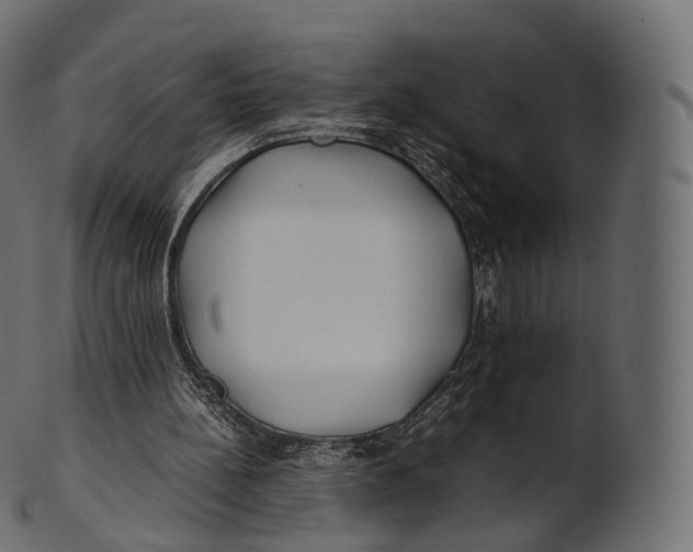 X0000100490148200807031924