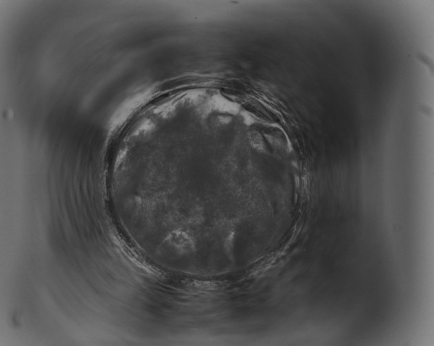 X0000100490149200807031924